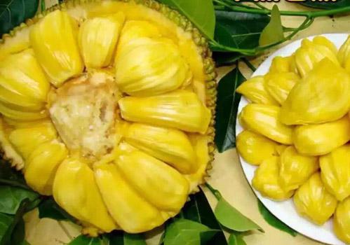 噬人鲨大战大乌贼