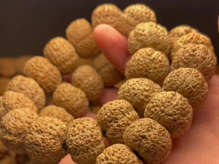 勇敢去爱（国语版）