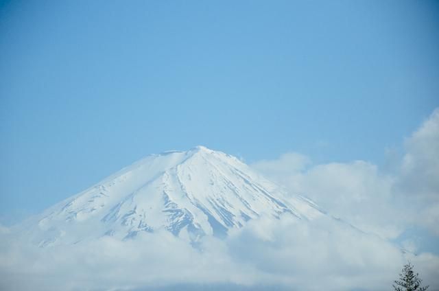 向阳之处必有声